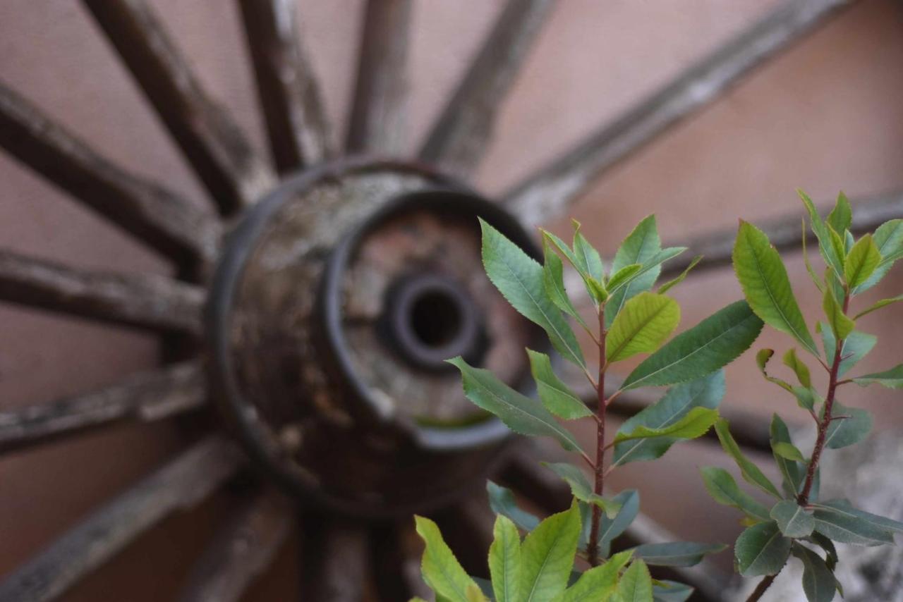 Casa rural de estilo rustico con SPA Almagro Esterno foto